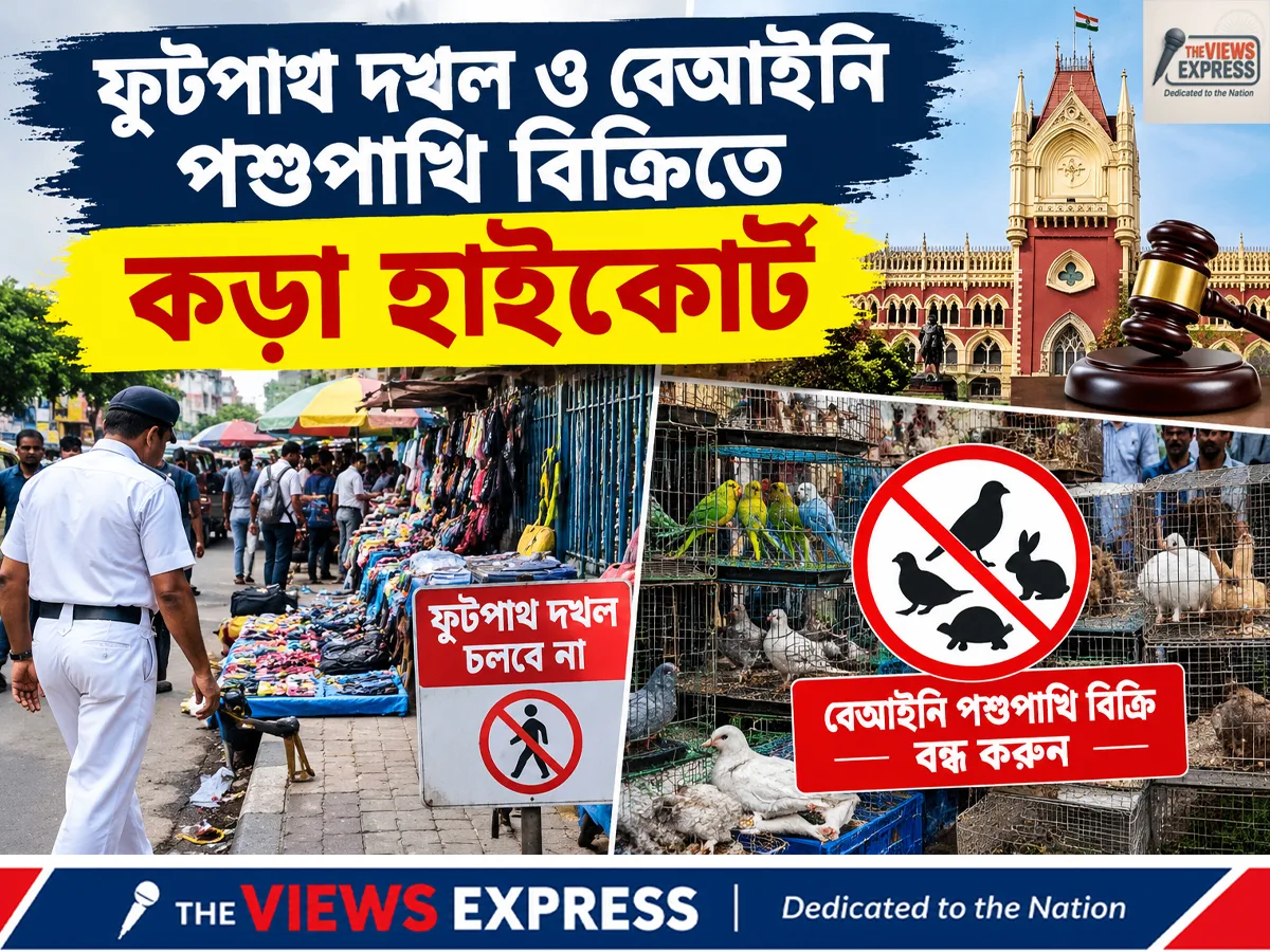 ফুটপাথ দখল বন্ধ, লাইসেন্স ছাড়া পশুপাখি বিক্রিতেও কড়া হাইকোর্টের বার্তা