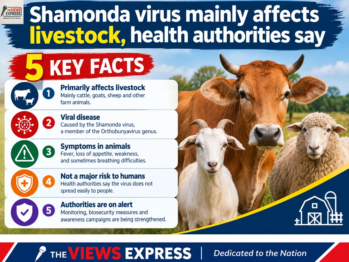 Shamonda Virus: What France’s First Human Case Means for India