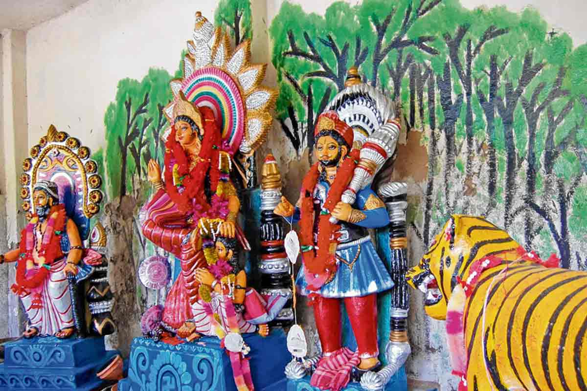পবিত্র বনাঞ্চল ও লোকজ বিশ্বাসে জীববৈচিত্র সংরক্ষণের অনন্য ঐতিহ্য আজও অটুট