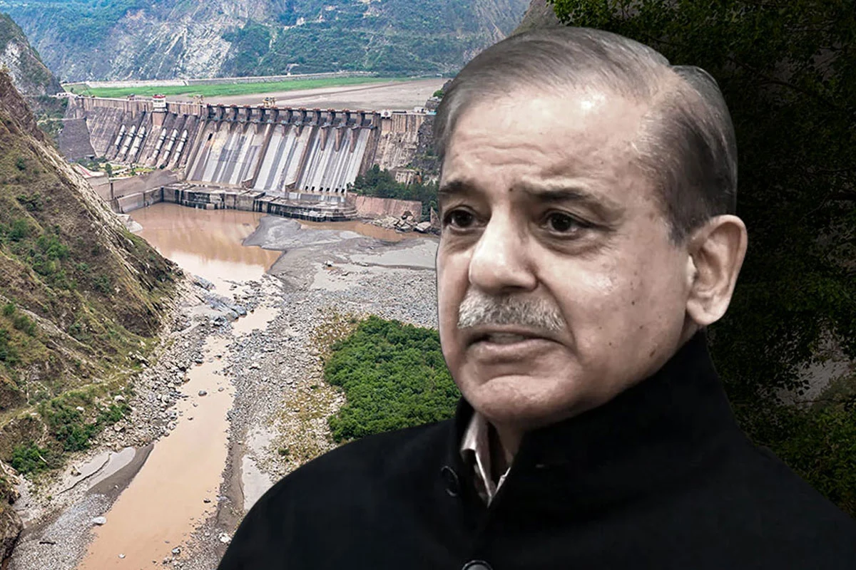 Pakistan PM Shehbaz Sharif Warns India Over Every Drop Of Indus Water