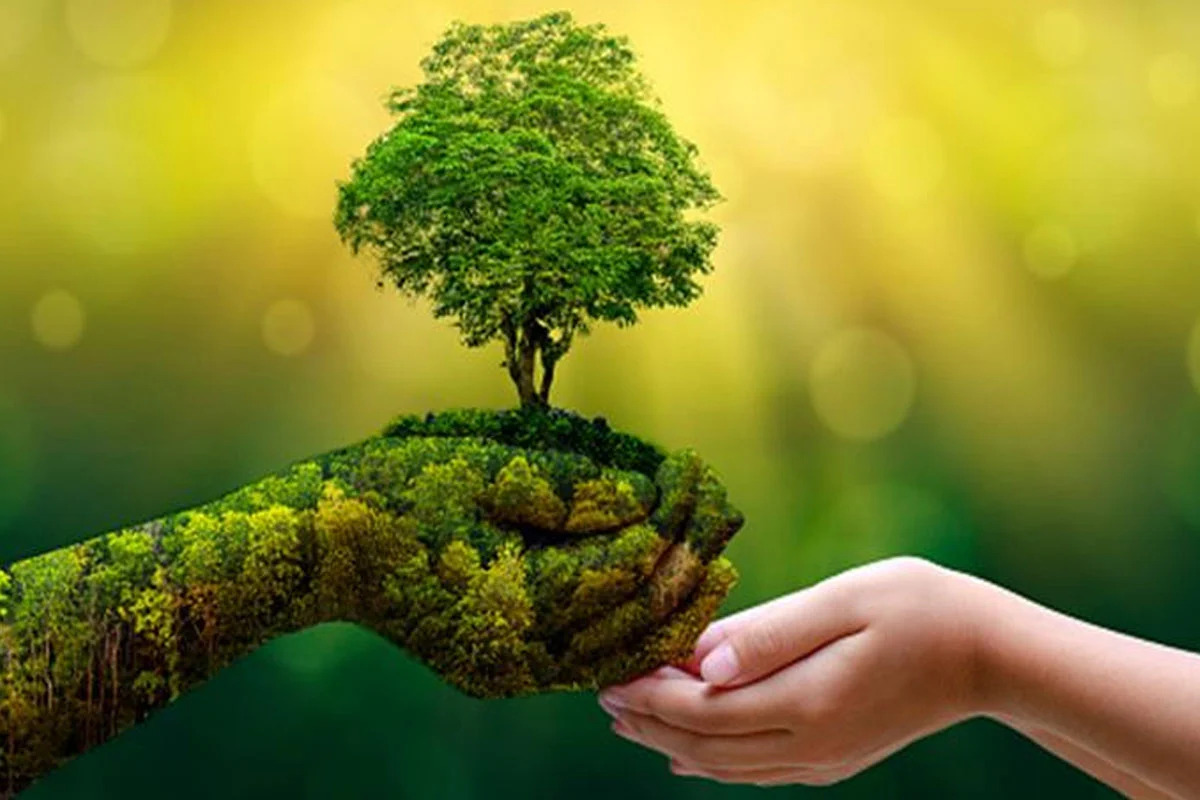 CAG Flags Green India Mission Failure, Raising Questions Over Forest Restoration and Ecology