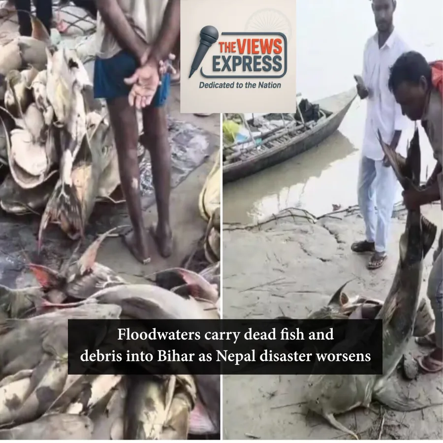 Bihar Bans Flood-Borne Fish Consumption as Nepal Disaster Toll Surges